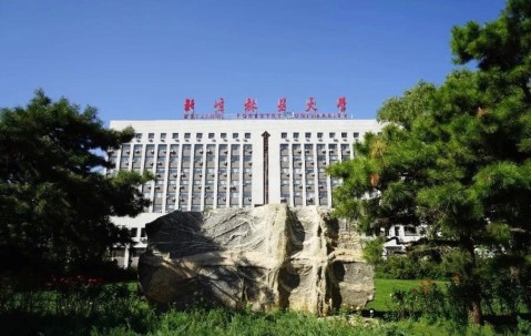 北京林业大学招生章程