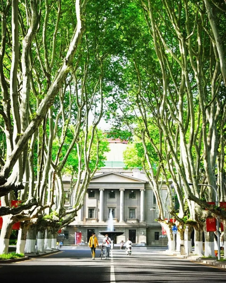 东南大学是211大学还是985大学?