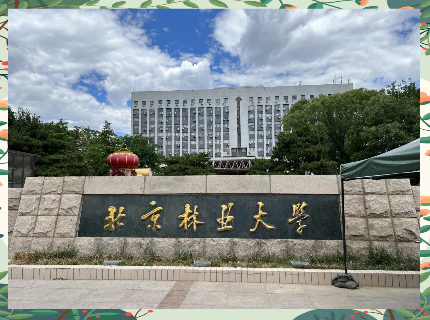 北京林业大学招生章程