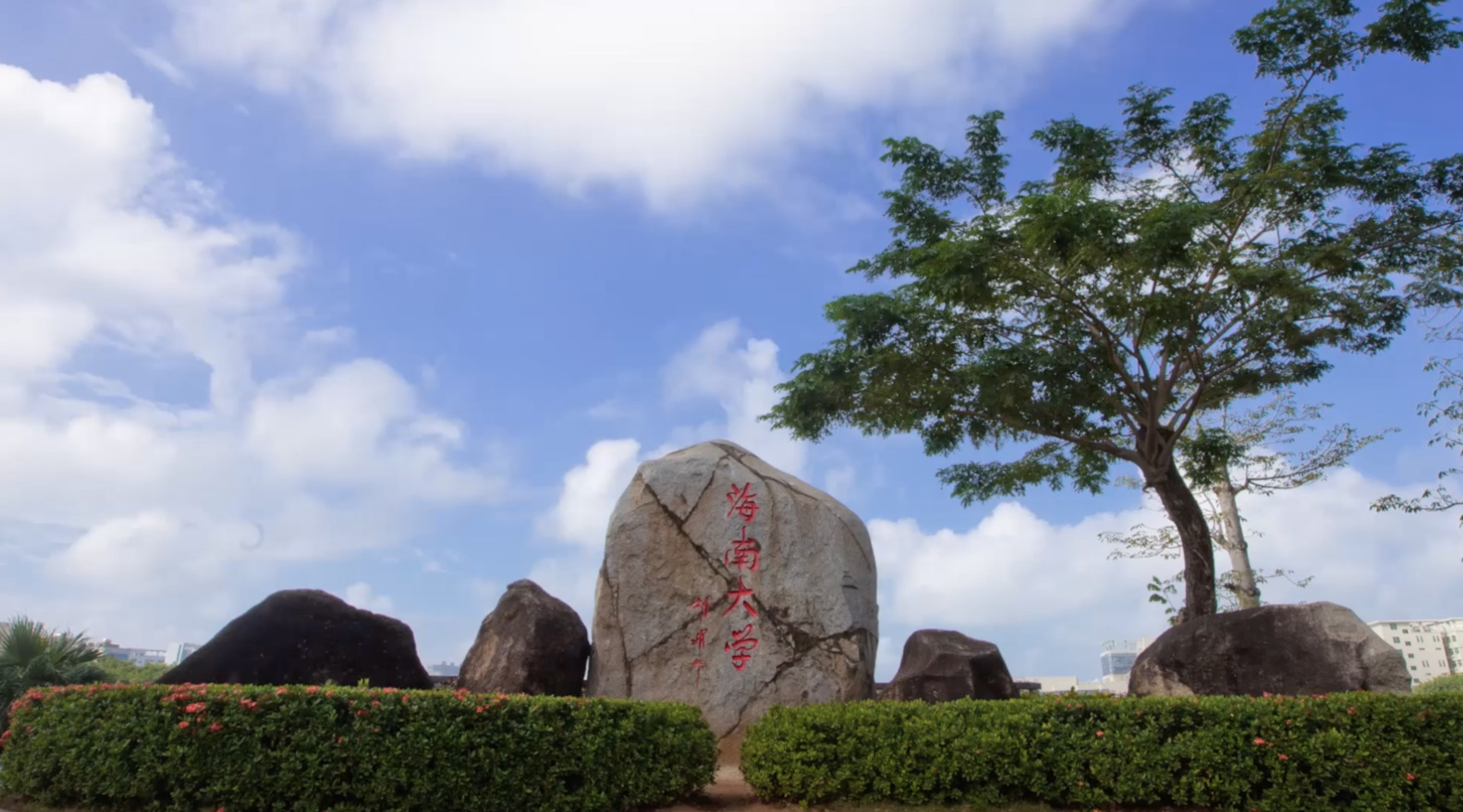 海南大学保研率