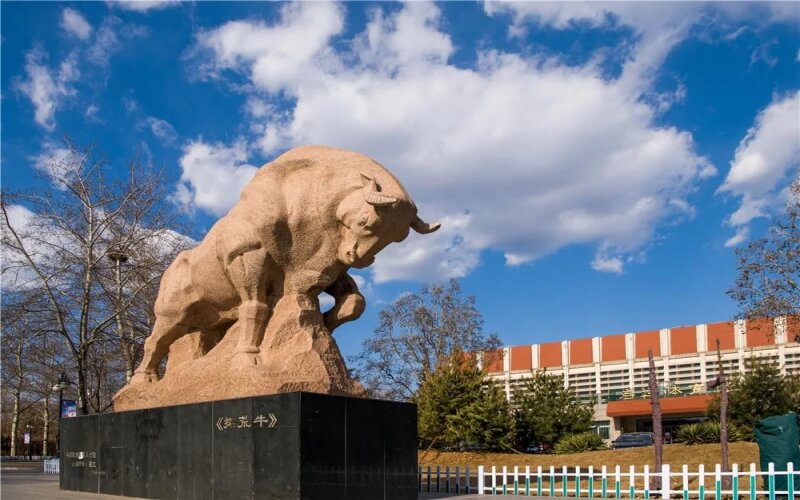 中国政法大学法学